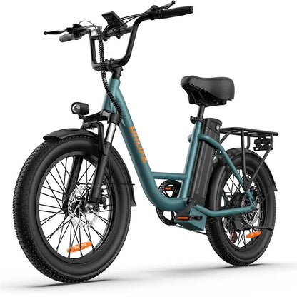 URLIFE E20 Elektrische Fiets - 250W