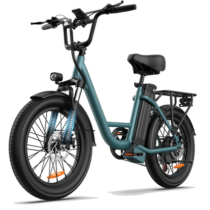 URLIFE E20 Elektrische Fiets - 250W