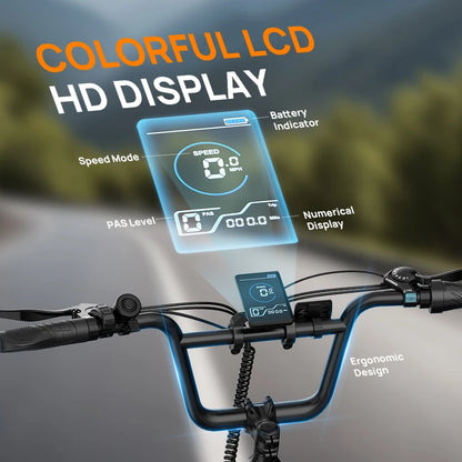 URLIFE E20 Elektrische Fiets - 250W