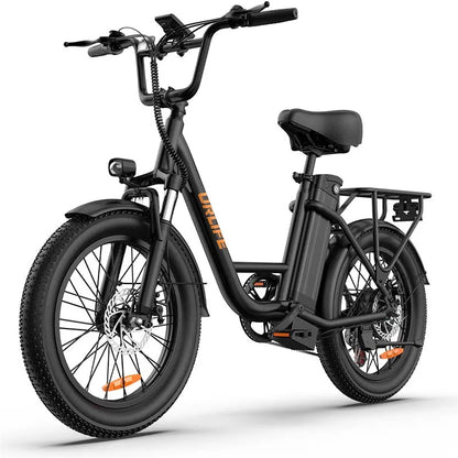 URLIFE E20 Elektrische Fiets - 250W